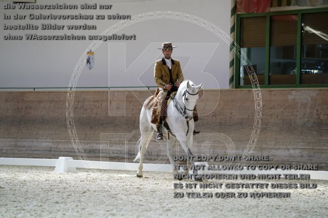 s_K3F09686.JPG